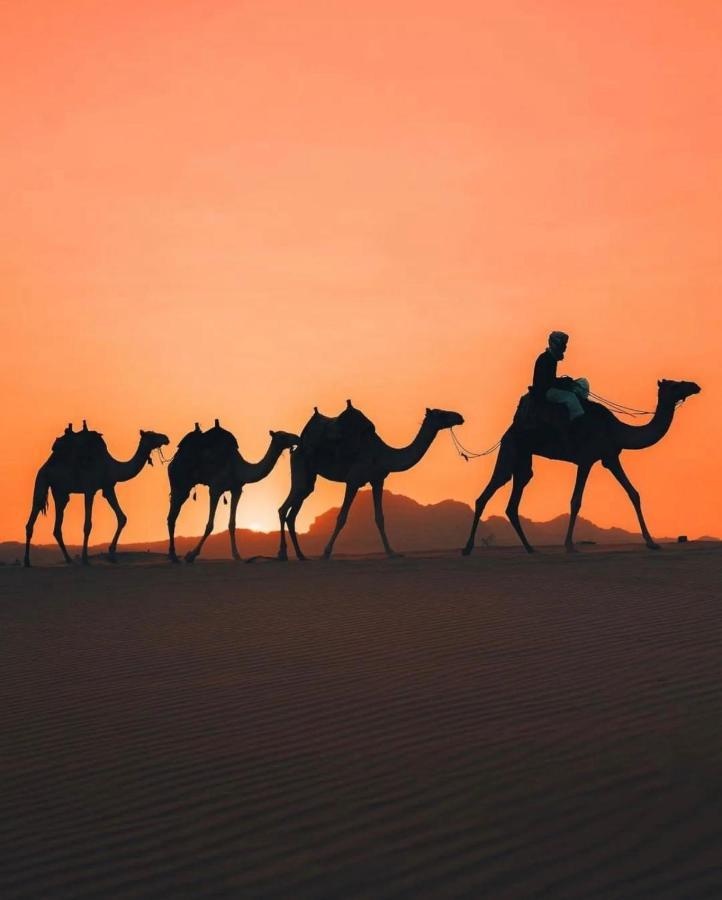 Rum Joharh Luxury Camp Wadi Rum Buitenkant foto